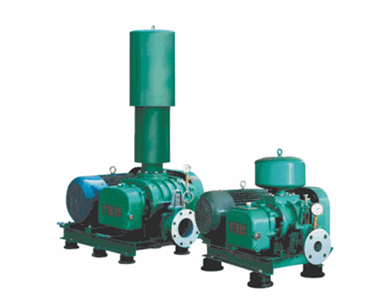 PTR型D式三葉羅茨風機風機